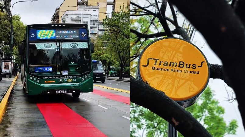 Ya funcionan los carriles exclusivos de la avenida Rivadavia por la llegada del TramBus - Pura Ciudad
