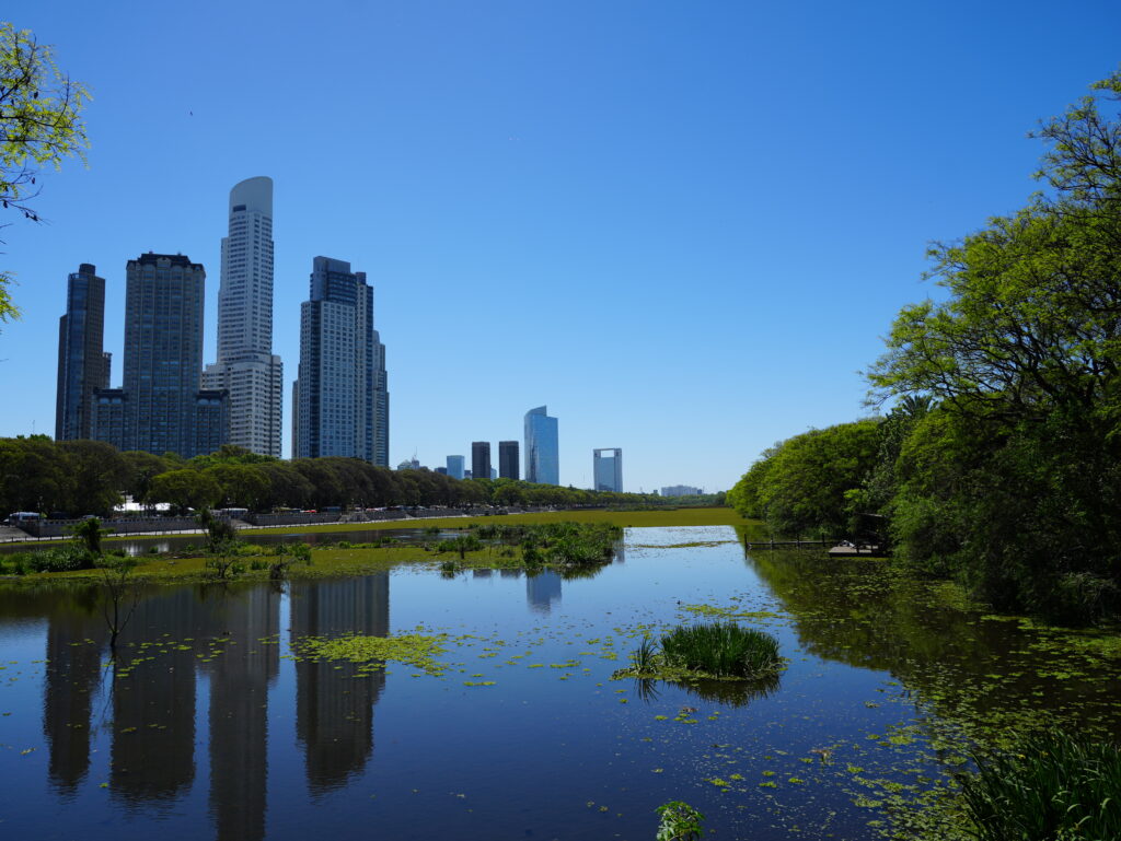 Licitan obras para abrir 14 nuevas hectáreas de la Reserva Ecológica Costanera Sur - Pura Ciudad